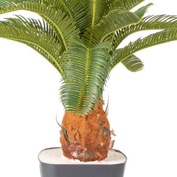 Yapay Çikas - Cycas Ağacı 25 Yapraklı Yeşil 72 Cm.