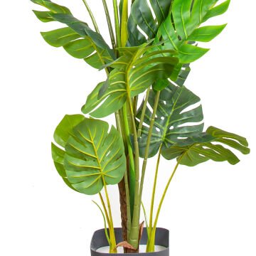 Yapay Deve Tabanı Ağacı (Monstera Ağacı) Gerçek Dokulu 16 Yapraklı 150 Cm.