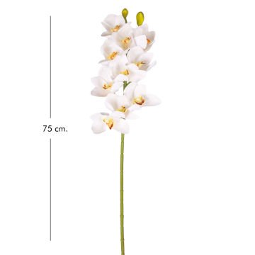 Yapay Orkide Gerçek Dokunuş Beyaz-Sarı 75 Cm.