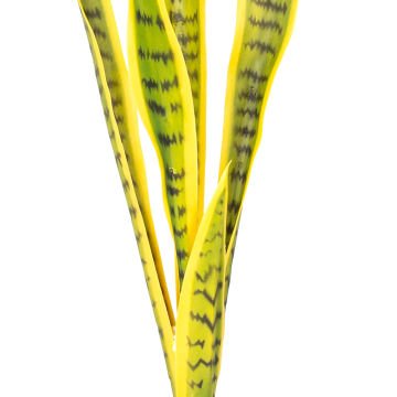 Yapay Paşa Kılıcı 73 Cm.