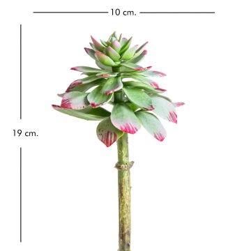 Yapay Kaktüs Succulent 10X19 Cm.