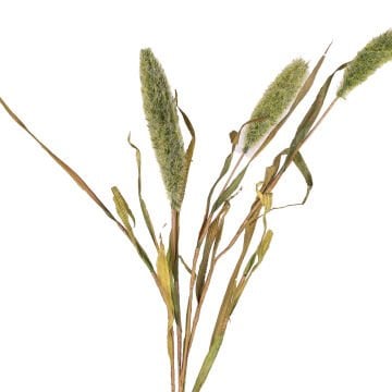 Yapay Bitki Setaria Pamuk (Kirpi Darı) Yeşil 90 Cm.