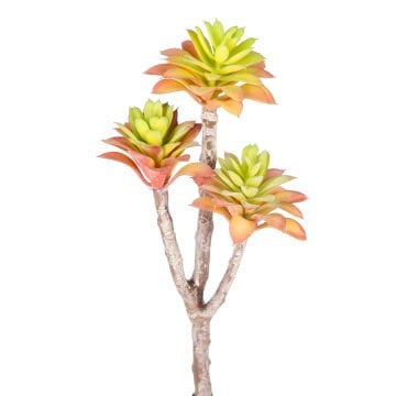 Yapay Kaktüs Sukulent Kırmızı/Yeşil 35 Cm