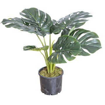 Saksıda Yapay Deve Tabanı 60 Cm.