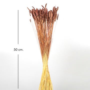Kuru Bitki Tırtıl Otu Kahverengi 50 Cm.