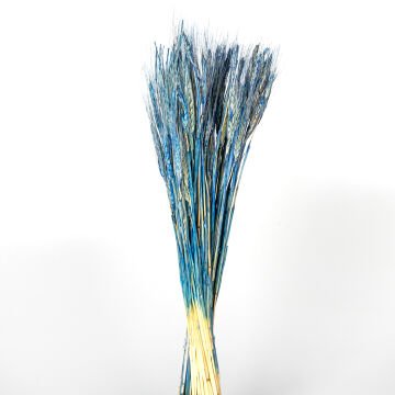 Kuru Bitki Başak Mavi 60 Cm.