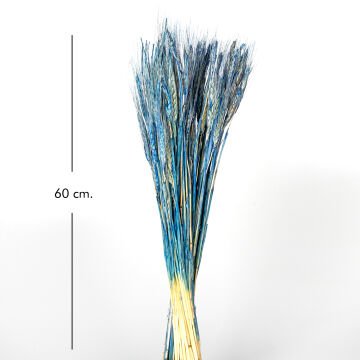 Kuru Bitki Başak Mavi 60 Cm.