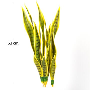 Yapay Bitki Paşa Kılıcı Gerçek Dokulu 15 Yaprak Sarı-Yeşil 53 Cm.