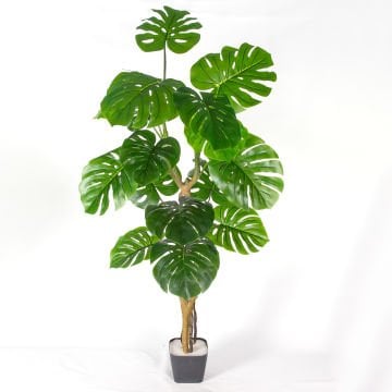 Yapay Ağaç Monstera-Deve Tabanı Gerçek Dokulu 16 Yaprak Yeşil 160 Cm.