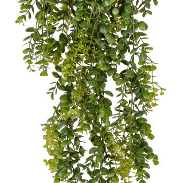 Yapay Okaliptus Sarmaşık Yeşil 85 Cm.