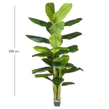 Yapay Muz Ağacı Gerçek Dokulu 38 Yaprak Yeşil 230 Cm.