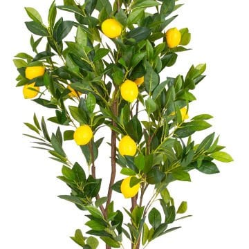 Yapay Limon Ağacı Gerçek Dokulu Sarı-Yeşil 150 Cm.