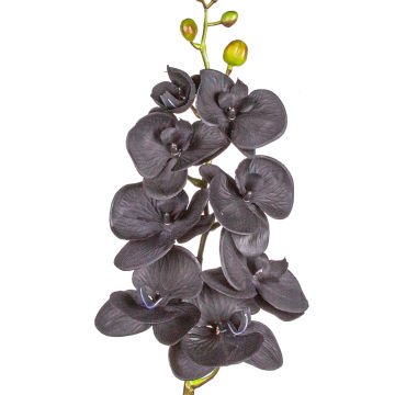 Yapay Orkide Gerçek Dokunuş Siyah 104 Cm.