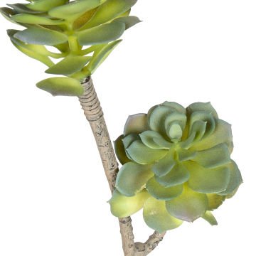 Yapay Sukulent Kaktüs Yeşil 50 Cm.