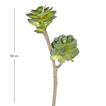 Yapay Sukulent Kaktüs Yeşil 50 Cm.