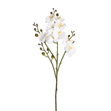 Yapay Orkide Gerçek Dokulu Beyaz 80 Cm.