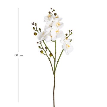 Yapay Orkide Gerçek Dokulu Beyaz 80 Cm.