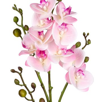 Yapay Orkide Gerçek Dokulu Pembe 80 Cm.