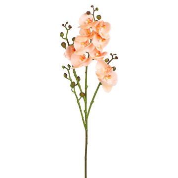 Yapay Orkide Gerçek Dokulu Somon 80 Cm.
