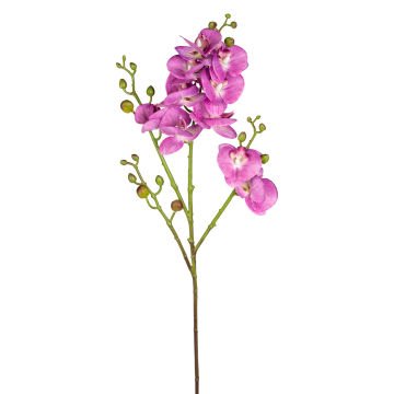 Yapay Orkide Gerçek Dokulu Mor 80 Cm.