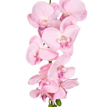 Yapay Orkide Gerçek Dokulu Pembe 95 Cm.