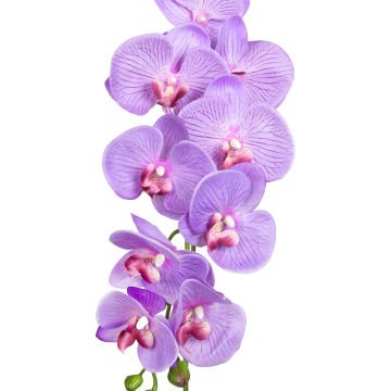 Yapay Orkide Gerçek Dokulu Lila 95 Cm.