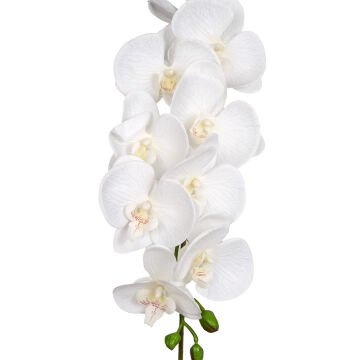 Yapay Orkide Gerçek Dokulu Beyaz 95 Cm.