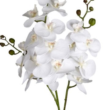 Yapay Çiçek Orkide 3 Dallı Beyaz 118 Cm.