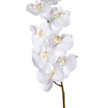 Yapay Çiçek Orkide Beyaz 115 Cm.