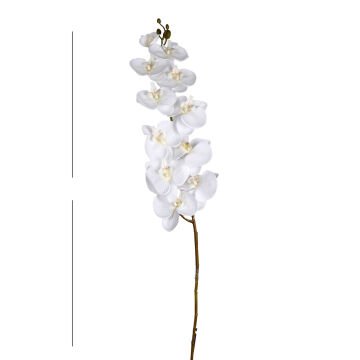 Yapay Çiçek Orkide Beyaz 115 Cm.
