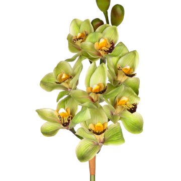 Yapay Orkide Gerçek Dokulu Yeşil 75 Cm.