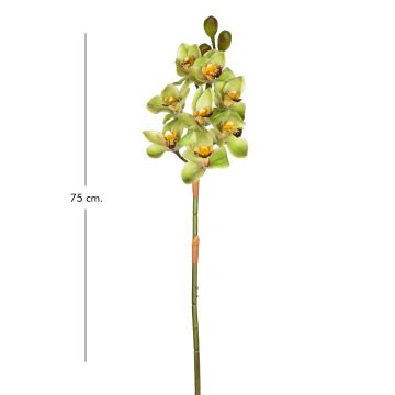 Yapay Orkide Gerçek Dokulu Yeşil 75 Cm.