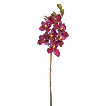 Yapay Orkide Gerçek Dokulu Bordo 75 Cm.