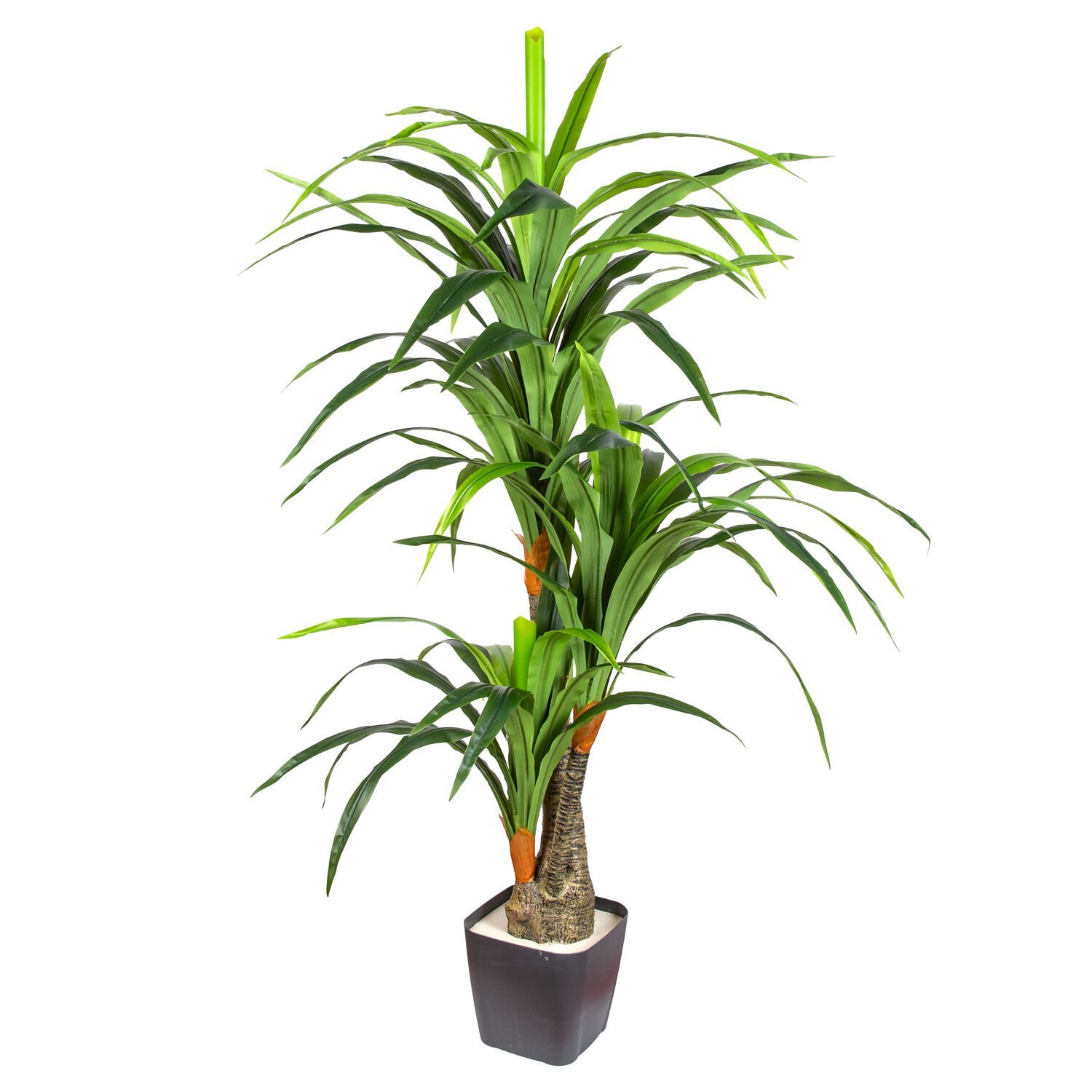 Yapay Dracaena Gerçek Dokulu 3 Dallı 160 Cm.