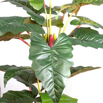 Yapay Alocasia - Fil Kulağı Rainbow(Gökkuşağı)  16 Yaprak 230 Cm.