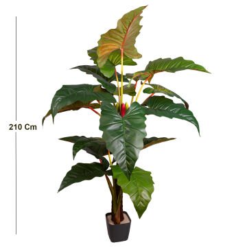 Yapay Alocasia - Fil Kulağı Rainbow(Gökkuşağı)  16 Yaprak 230 Cm.