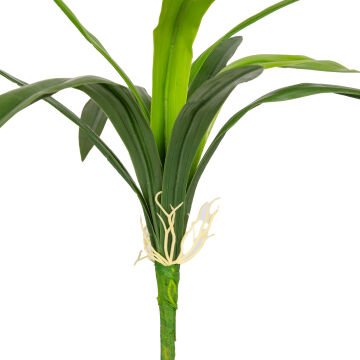 Yapay Orkide Yaprağı Yeşil 40 Cm.