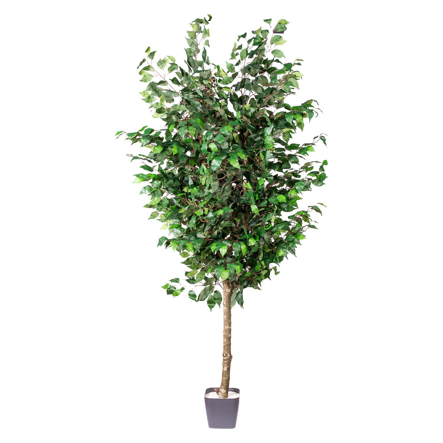 Yapay Ficus Ağacı Tek Gövde Yeşil 200 Cm.