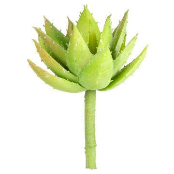 Yapay Kaktüs Sukulent Açık Yeşil 15 Cm.