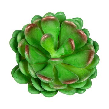Yapay Kaktüs Sukulent Yeşil 10 Cm.