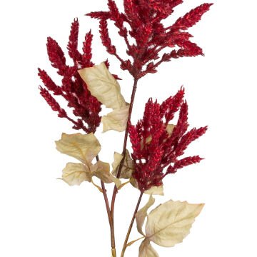 Yapay Çiçekli Bitki Pampas Bordo 90 Cm.