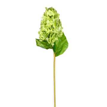 Yapay Ortanca Islak Dokulu Yeşil 70 Cm.