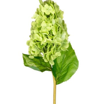 Yapay Ortanca Islak Dokulu Yeşil 70 Cm.