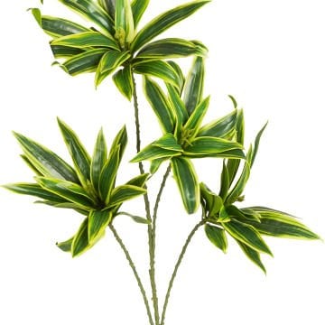 Yapay Dracena Bitkisi Yeşil-Sarı 75 Cm.