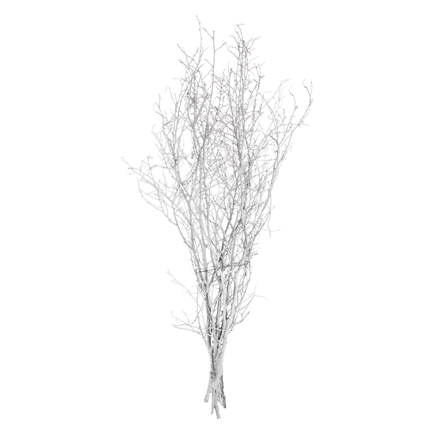 Kuru Bitki Beyaz Gürgen Dalı 60 - 80 Cm