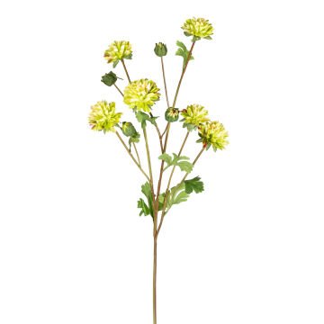 Yapay Krizantem Yeşil 77 Cm.