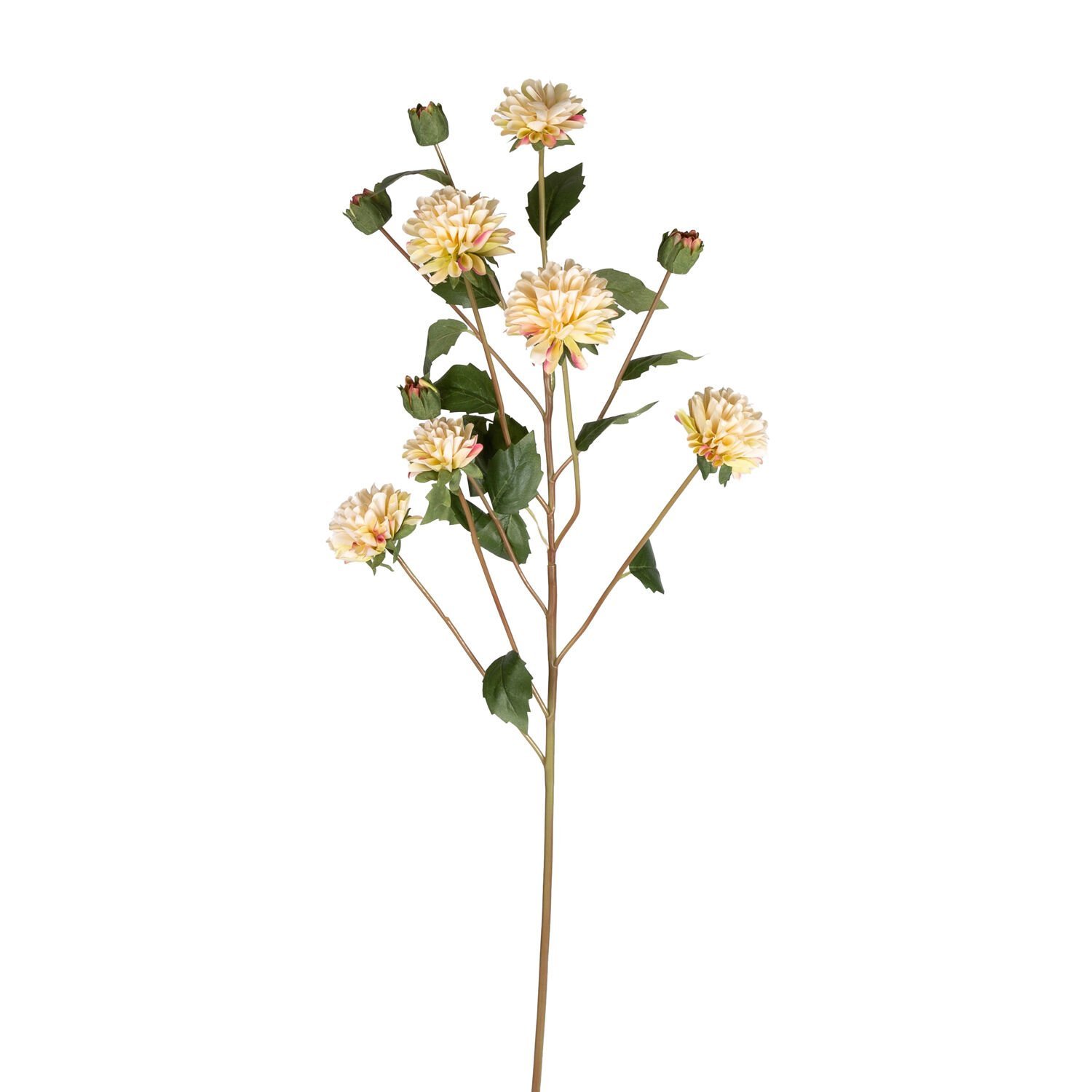 Yapay Krizantem Krem 77 Cm.