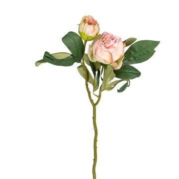 Yapay Çiçek Şakayık Kurumuş Efektli Pembe-Krem 50 Cm.