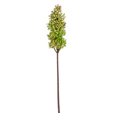 Yapay Çiçek Sorgum Bitkisi Yeşil 47 Cm.