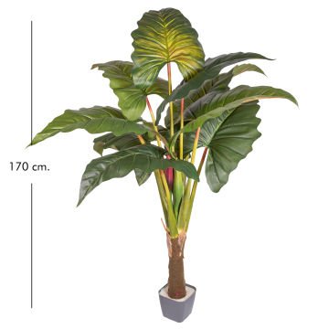 Yapay Alocasia - Fil Kulağı Rainbow(Gökkuşağı) Ağacı 170 Cm